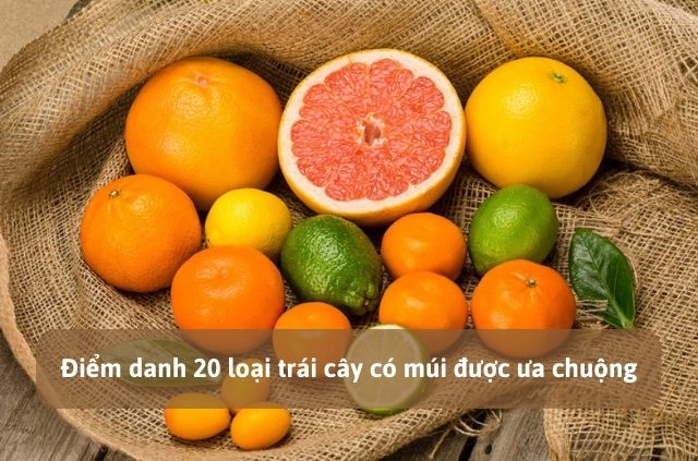 20 loại trái cây có múi