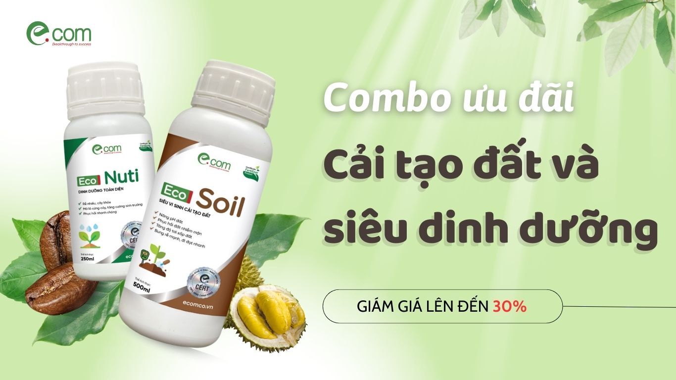 Combo cải tạo đất và siêu dinh dưỡng Eco Nuti - Eco Soil
