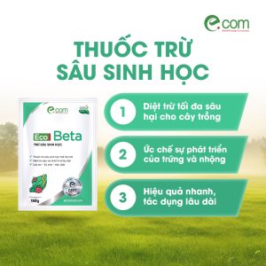 Thuốc trừ sâu sinh học Eco Beta