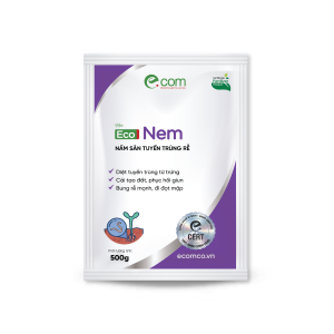 Đặc trị tuyến trùng hại rễ sinh học, tuyến trùng gây u sần, sưng rễ cà phê, tiêu, sầu riêng, xú – Eco Nem 500g