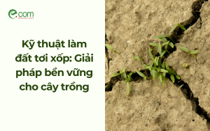 Kỹ thuật làm đất tơi xốp: Giải pháp bền vững cho cây trồng