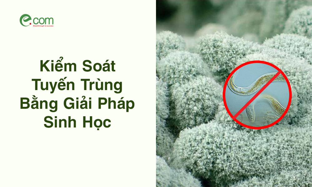 kiểm soát tuyến trùng