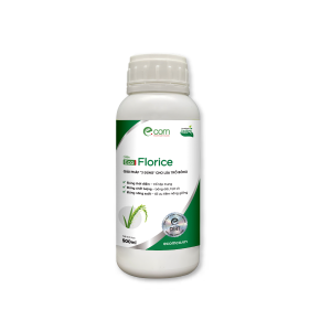 Eco FLORICE 500ml
