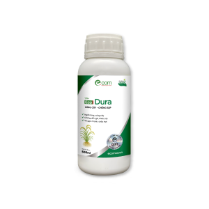 Eco DURA 500ml