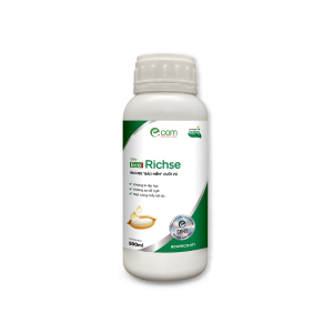 Eco RICHSE 500ml