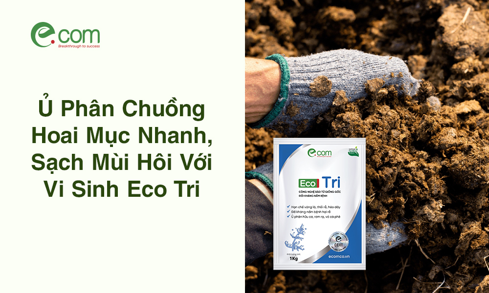 Ủ Phân Chuồng Hoai Mục Nhan