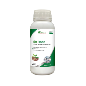 Eco Root