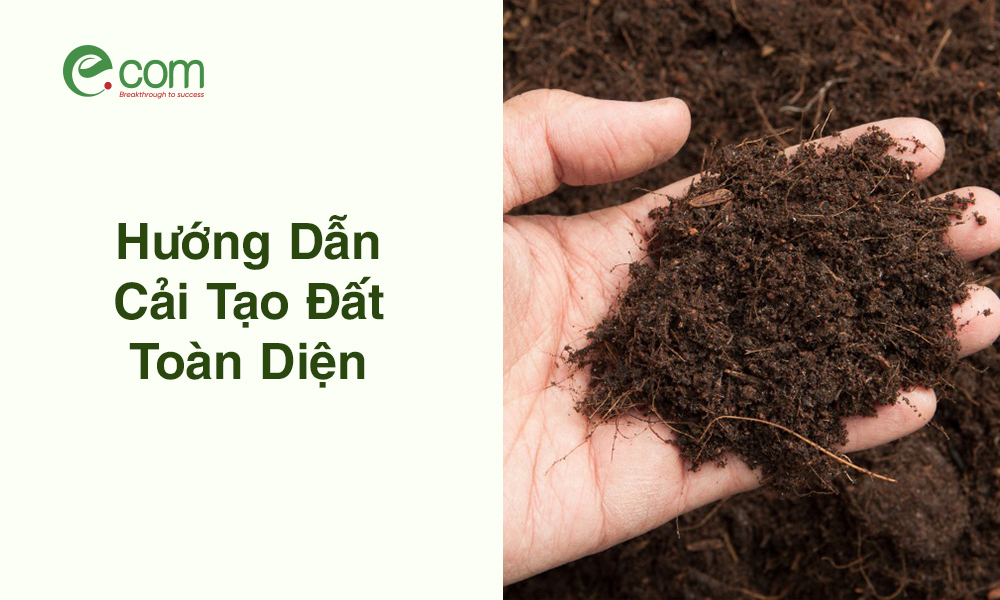 Hướng Dẫn Cải Tạo Đất