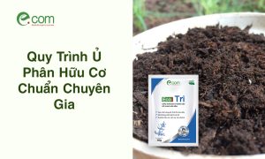 Quy Trình Ủ Phân Hữu Cơ