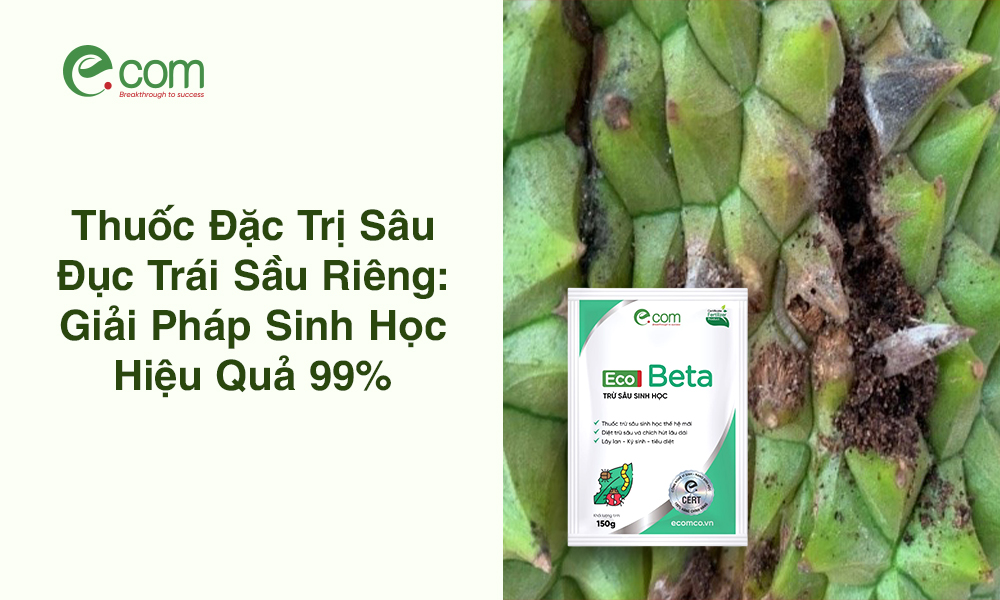 Thuốc Đặc Trị Sâu Đục Trái Sầu Riêng