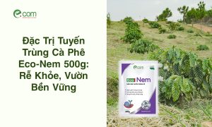 Thuốc Trị Tuyến Trùng Rễ Eco-Nem 500g