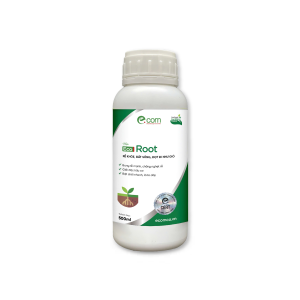 Eco Root 500ml