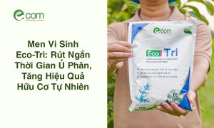 Men Vi Sinh Eco-Tri