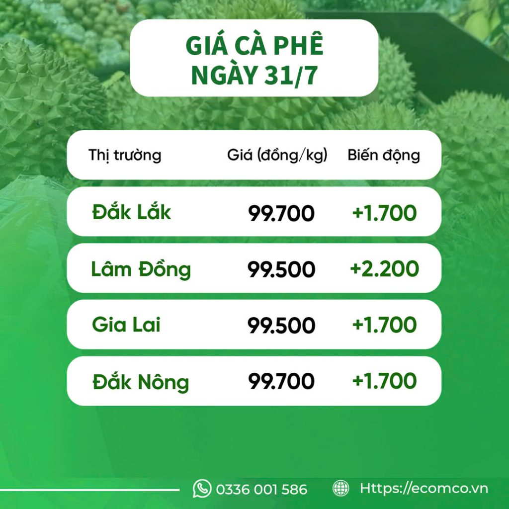 GIÁ CÀ PHÊ 31/7/2025
