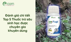 Thuốc trừ sâu sinh học