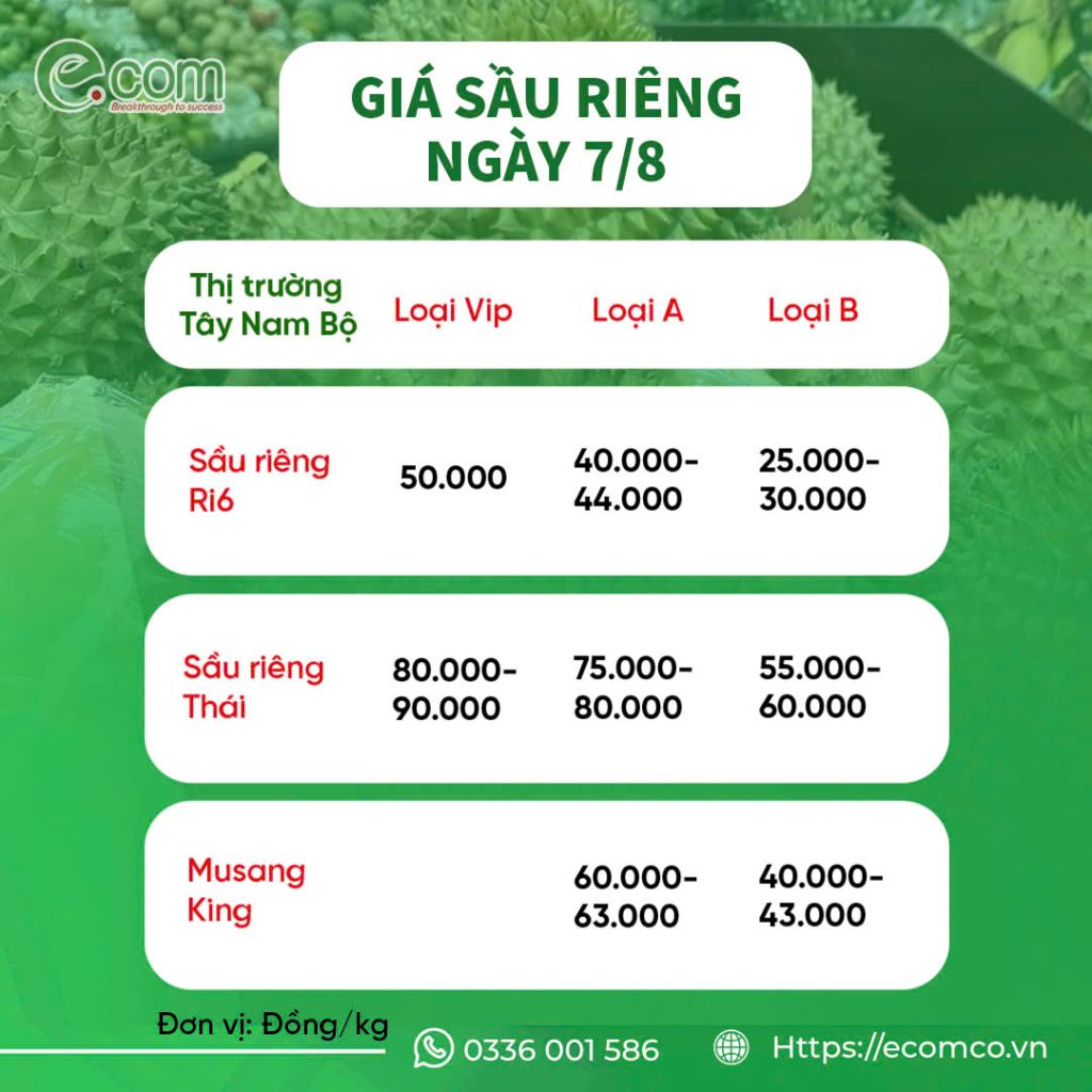 GIÁ SẦU RIÊNG HÔM NAY 7/8
