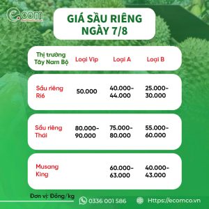 GIÁ SẦU RIÊNG HÔM NAY 7/8