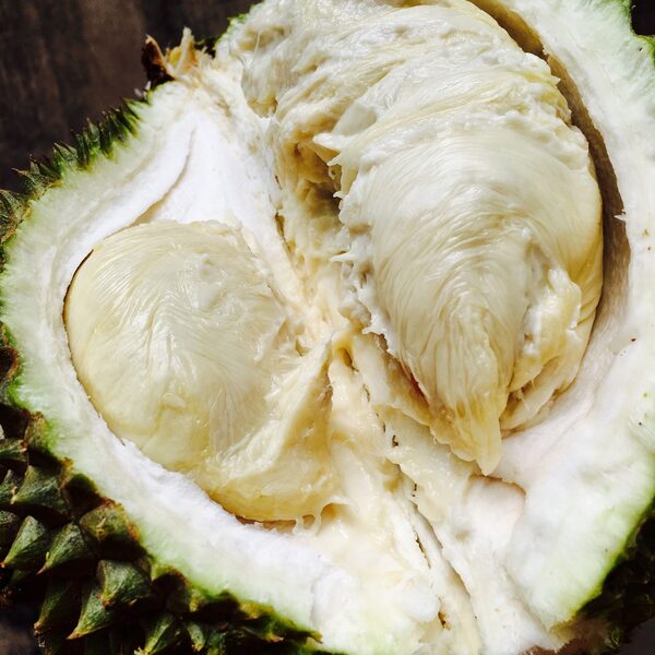 Sầu Riêng Bị Sượng 2