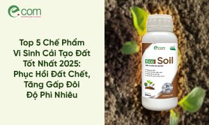 Chế Phẩm Vi Sinh Cải Tạo Đất