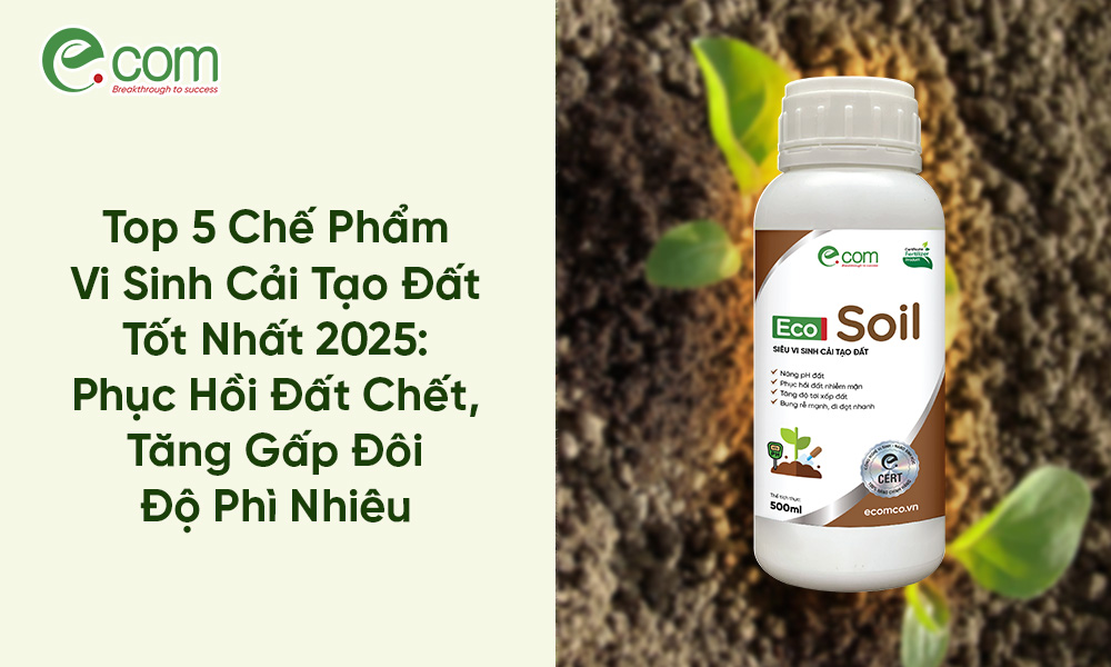 Chế Phẩm Vi Sinh Cải Tạo Đất