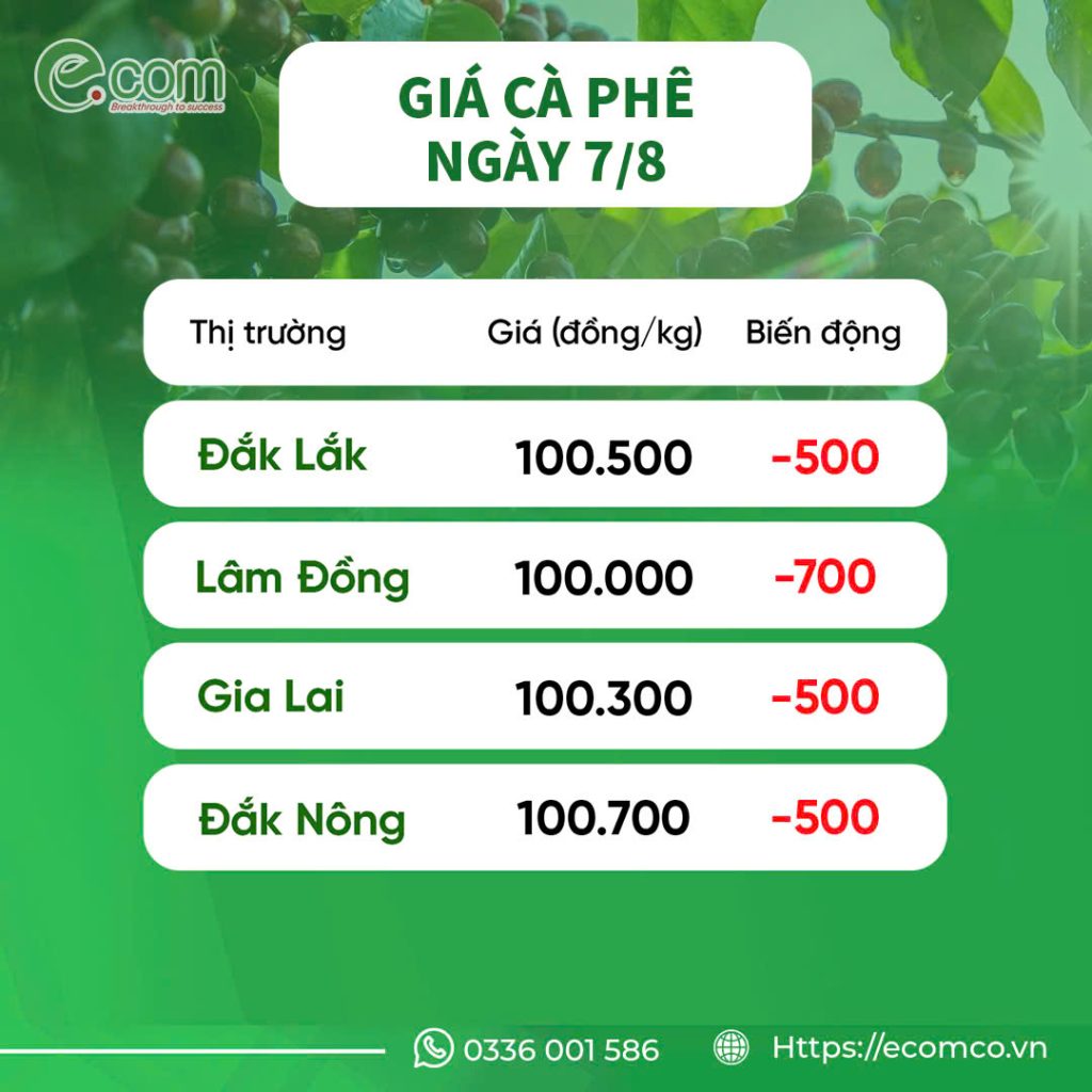 GIÁ CÀ PHÊ
