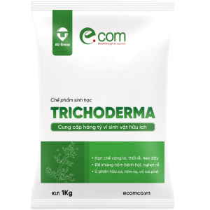 TRICHODERMA