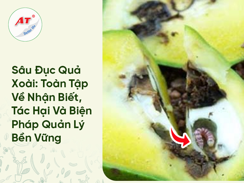 Sâu Đục Quả Xoài