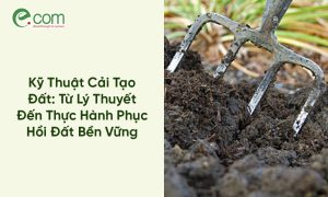 kỹ thuật cải tạo đất