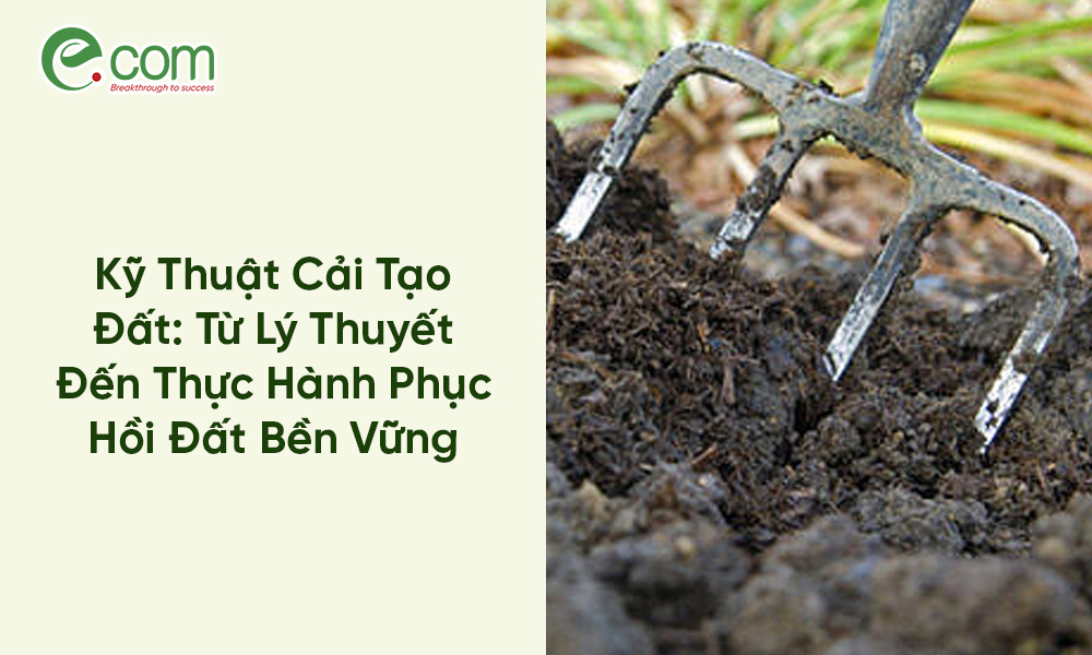kỹ thuật cải tạo đất