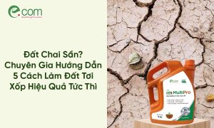 Cách Làm Đất Tơi Xốp