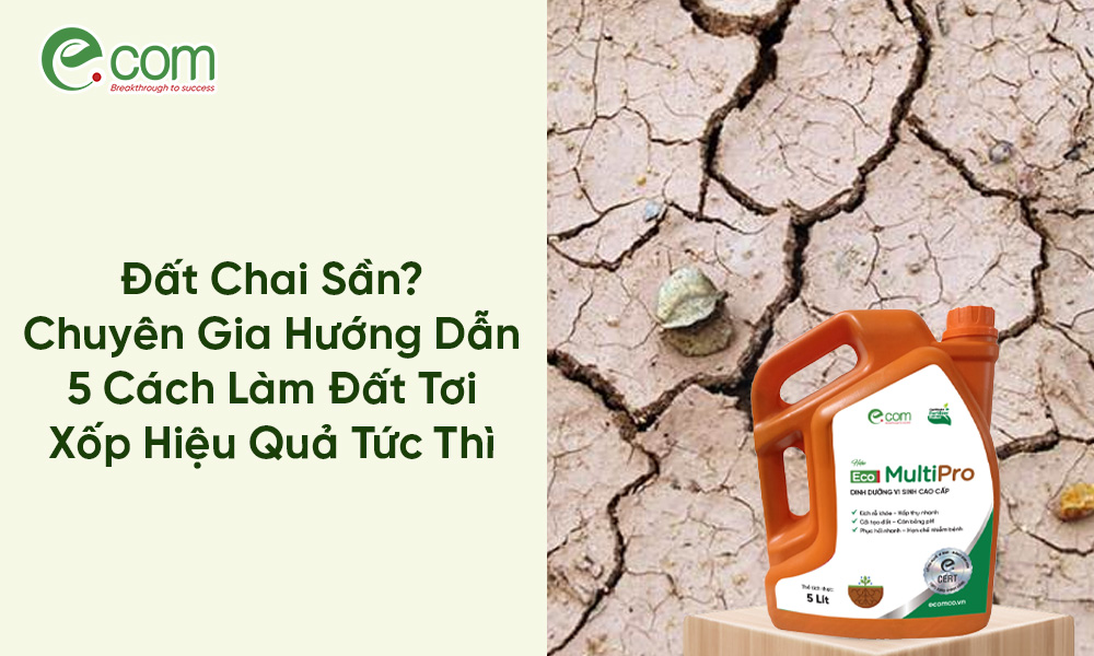 Cách Làm Đất Tơi Xốp