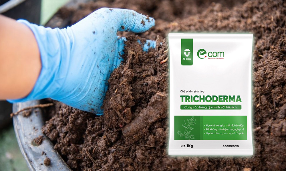 Cách Sử Dụng Nấm Trichoderma