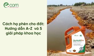 Cách hạ phèn cho đất: