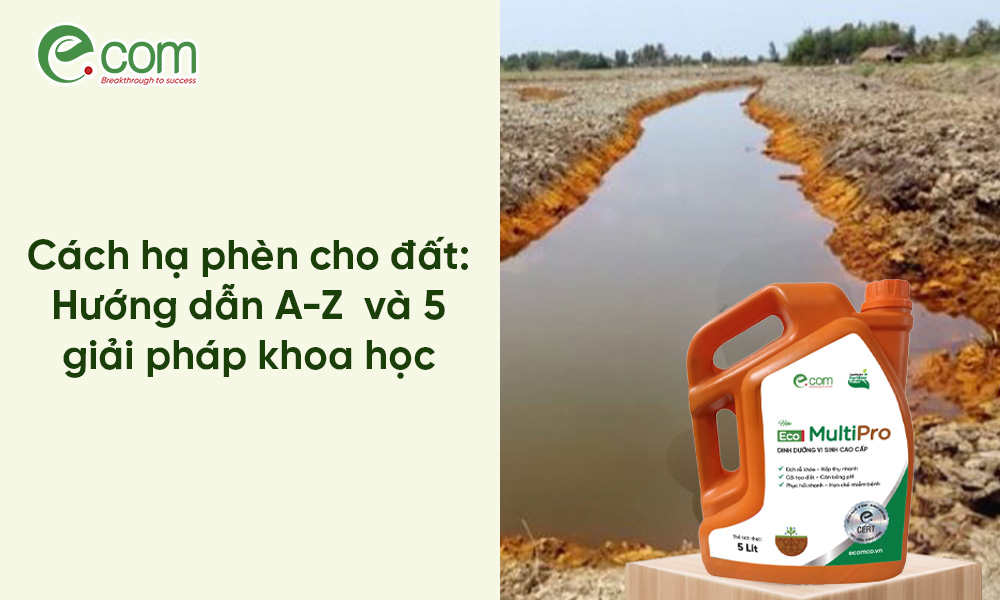 Cách hạ phèn cho đất: