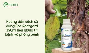 Eco Rootgard 250ml