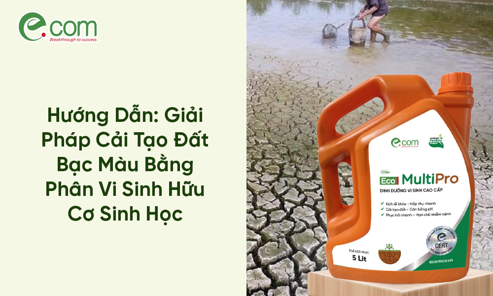 Cải Tạo Đất Bạc Màu