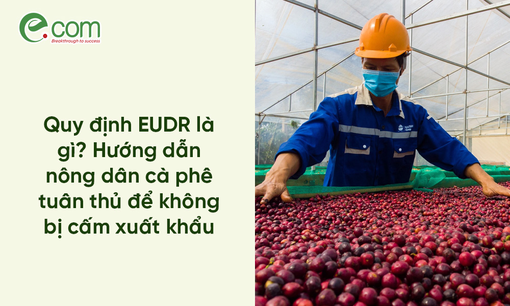 Quy định EUDR