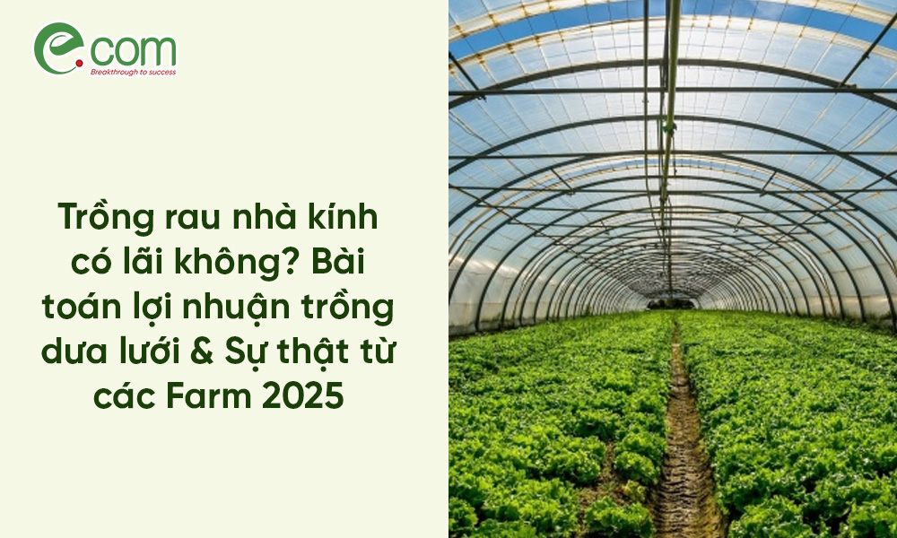 Trồng rau nhà kính