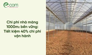 phí nhà màng 1000m2