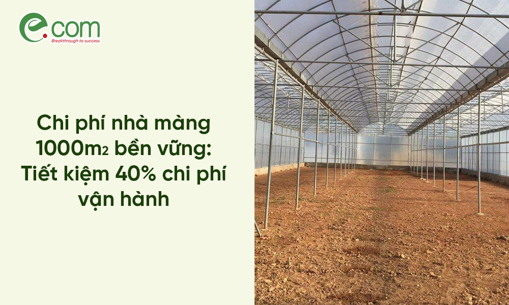 phí nhà màng 1000m2