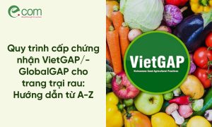rau sạch VietGAP