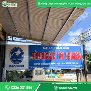 Đại Lý Nông Dược Tây Nguyên