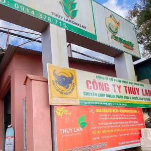 Đại Lý Thùy Lan