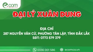 Đại Lý Xuân Dung