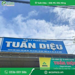 Đại Lý Tuấn Diệu