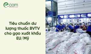 tiêu chuẩn xuất khẩu gạo