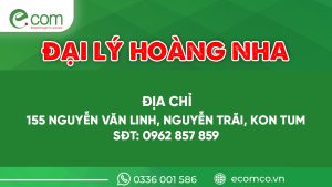 Đại Lý Hoàng Nha