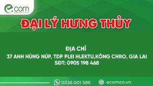 Đại Lý Hưng Thủy
