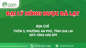 Đại Lý Nông Dược Đà Lạt