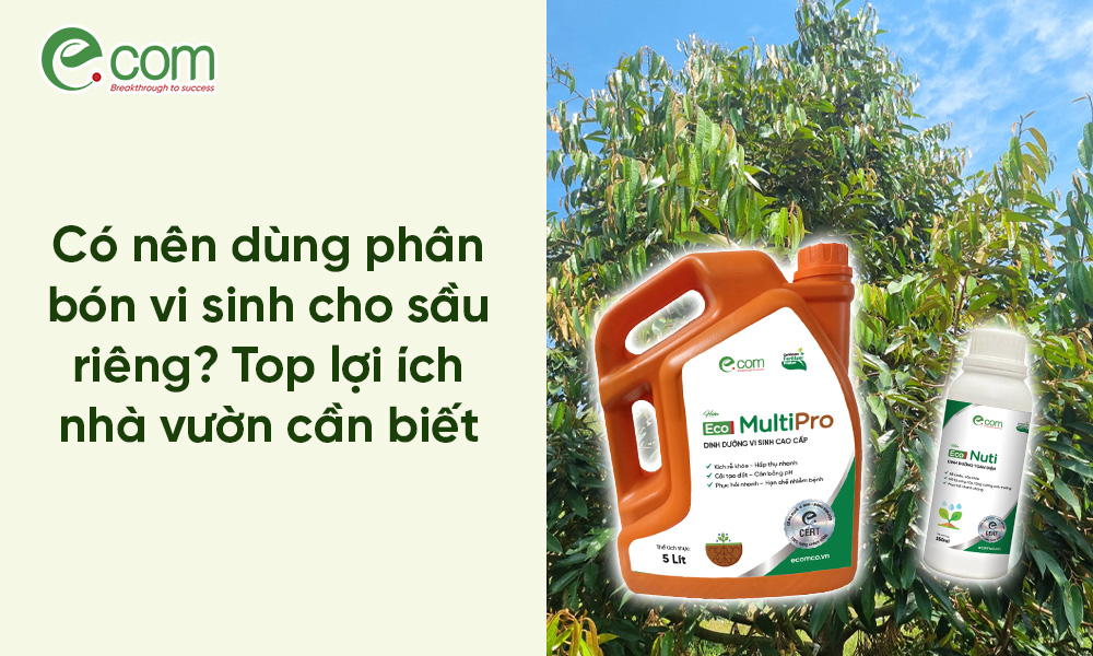 phân bón vi sinh sầu riêng
